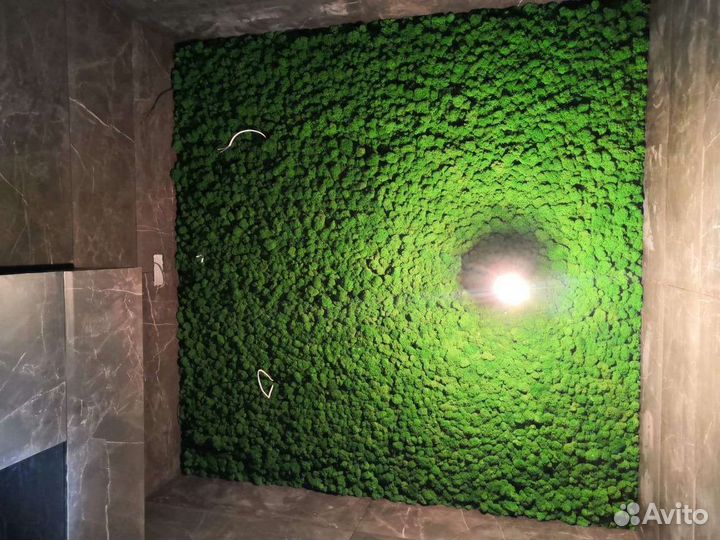 Стабилизированный мох Панели любых размеров