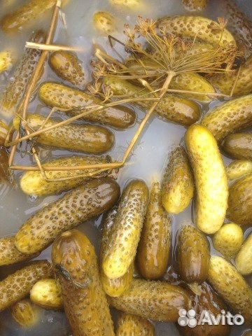 Огурцы бочковые-хрустящие