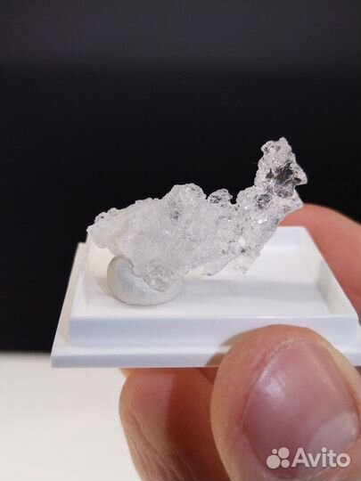 Минерал полуцит