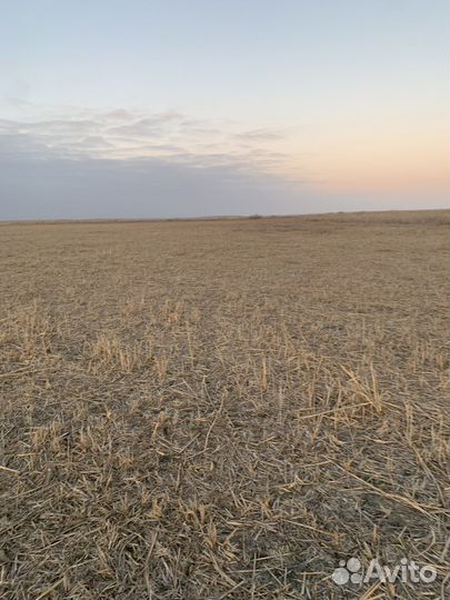 Земельный участок 204га под сегокос