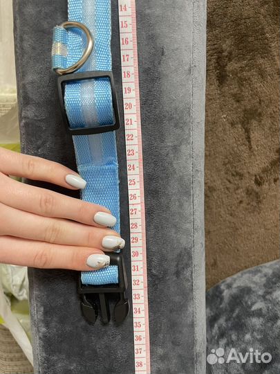 Светящийся ошейник