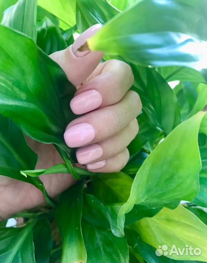 Маникюр Педикюр