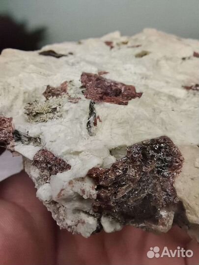 Эвдиалит в альбите