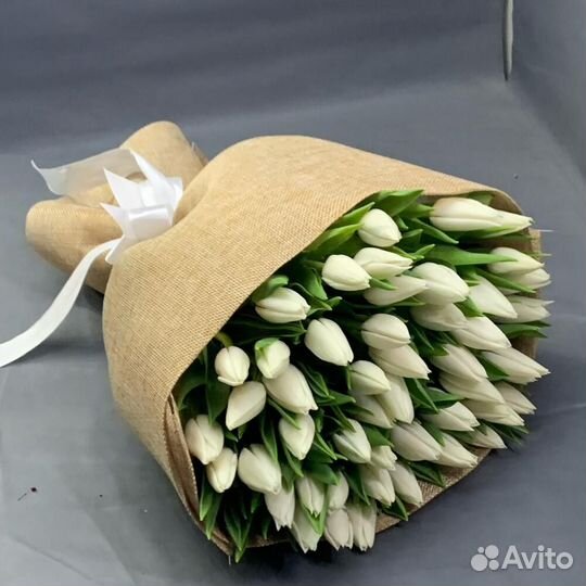 Тюльпаны букет 25 51 101 тюльпан