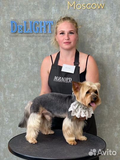 Услуги грумера