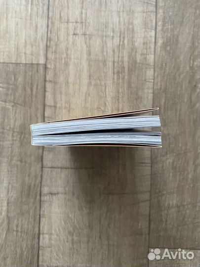 Книга «Взгляд художника» Петер Йенни