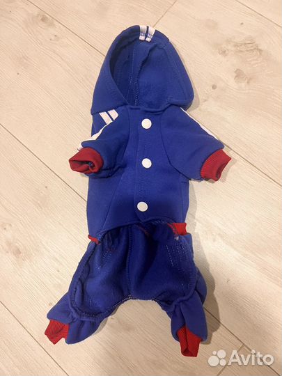 Одежда для собак мелких пород