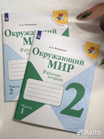 Окружающий мир 2 класс рабочая тетрадь Плешаков