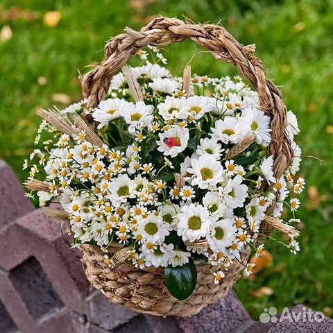 Корзина с цветами 013