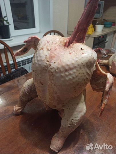 Мясо индейки