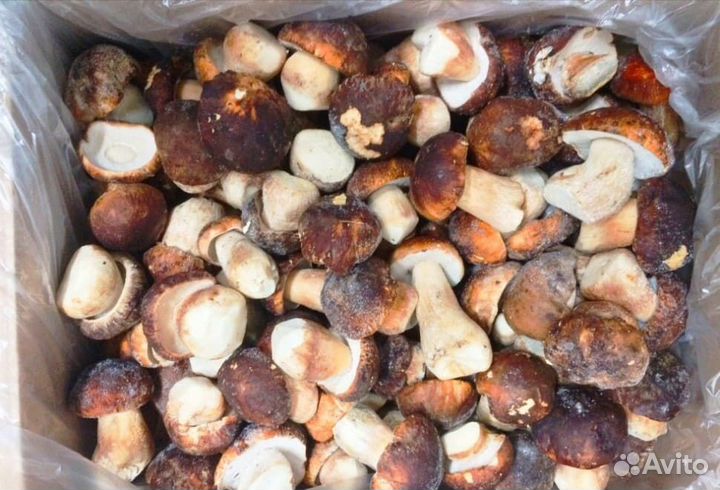 Замороженные белые грибы крупный опт
