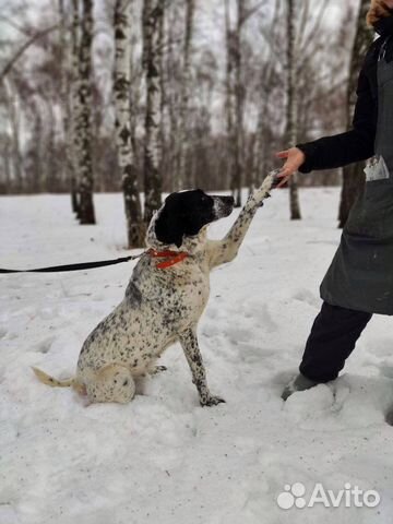 Нэнси замерзает в приюте