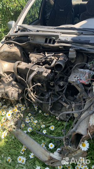 Дверь на калину