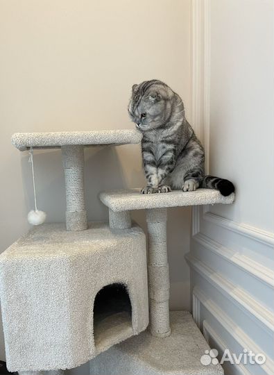 Домик для кошки когтеточка