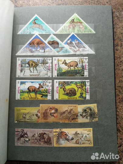 Марки фауна (птицы, животные)