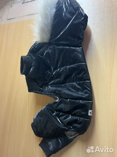 Зимние комбинезоны для собак