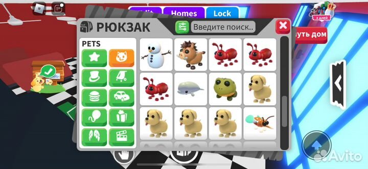 Пэты адопт ми