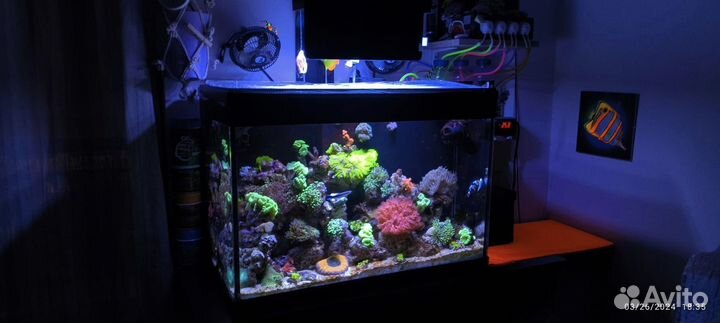 Морской аквариум 300 литров 120х50х50см