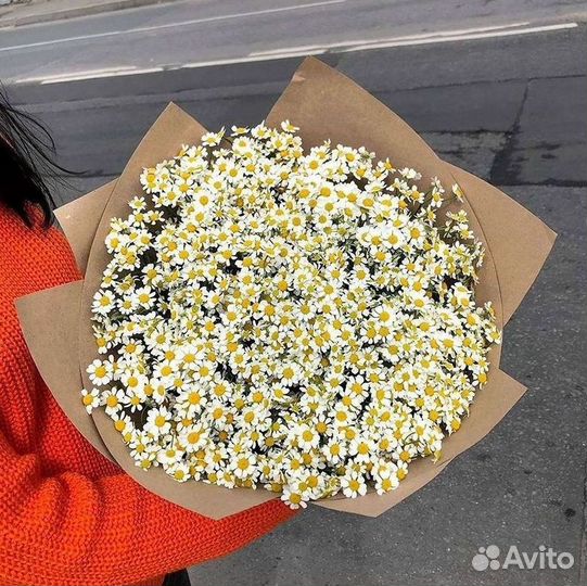 Букеты ромашек