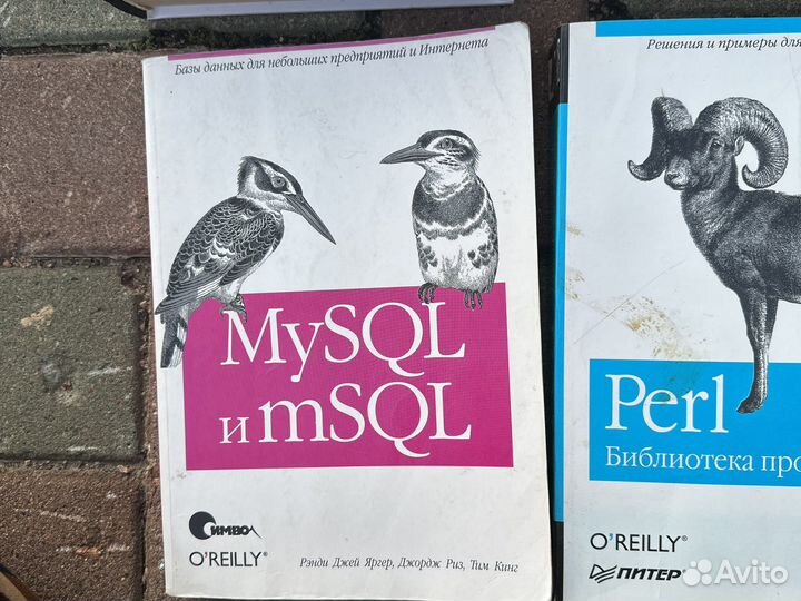 Программирование книги