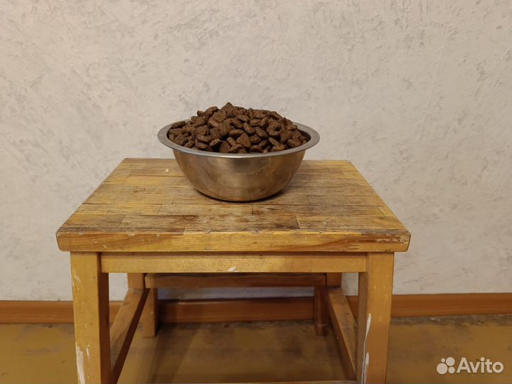 Корм для собак Дилли с доставкой