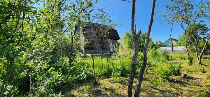 Участок 5,9 сот. (СНТ, ДНП)
