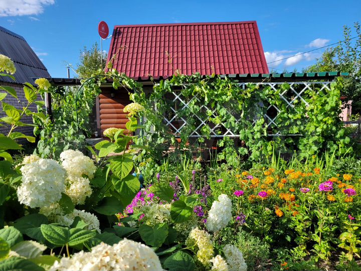 Дача 30 м² на участке 6 сот.