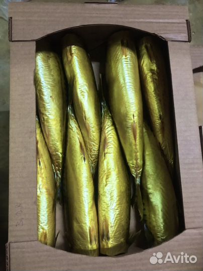 Скумбрия Атлантическая холодного копчения