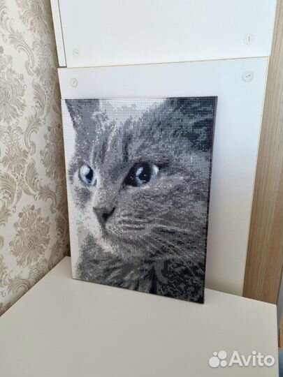 Картина постер кот