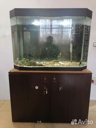 Аквариум 200 литров с тумбой
