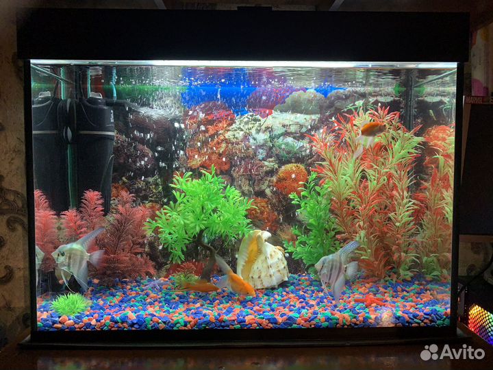 Аквариум 100 литров
