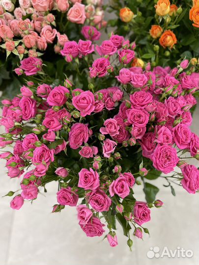 Кустовые розы