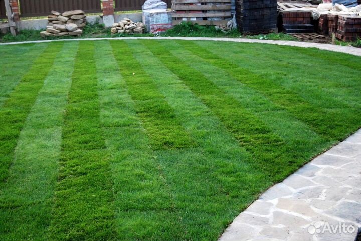 Рулонный газон - газон с укладкой