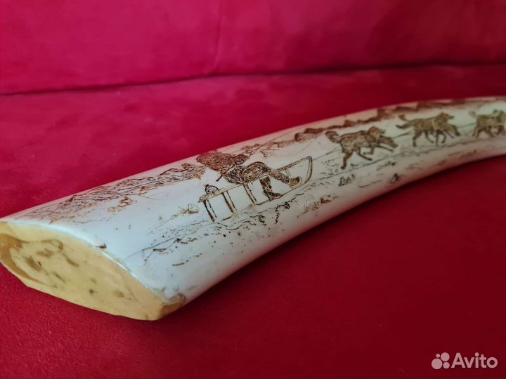 Клык моржа, имитация. 74см, 2кг