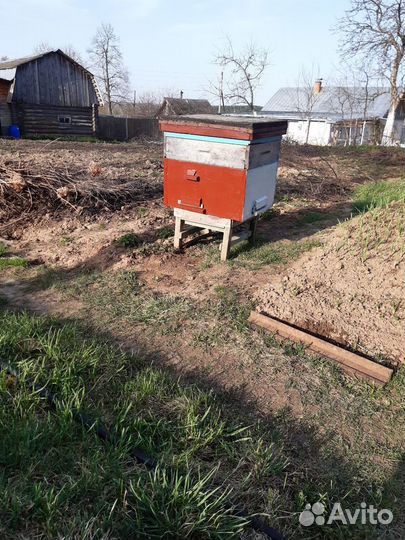 Ульи для пчел с рамками