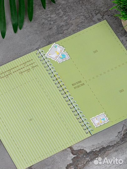 Первый альбом малыша. Baby book