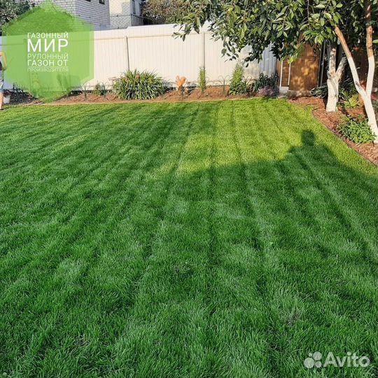 Рулонный газон