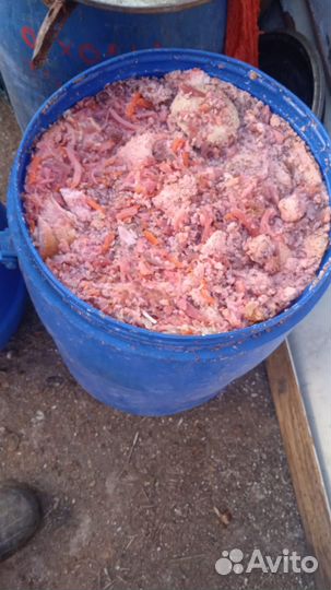 Пищевые отходы для животных