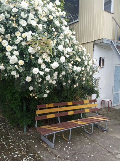 Комната 18 м² в 3-к., 1/2 эт.