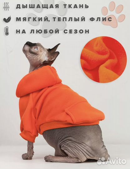 Одежда для кошек сфинкс