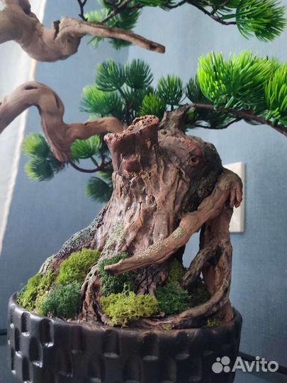 Бонсай интерьерное дерево
