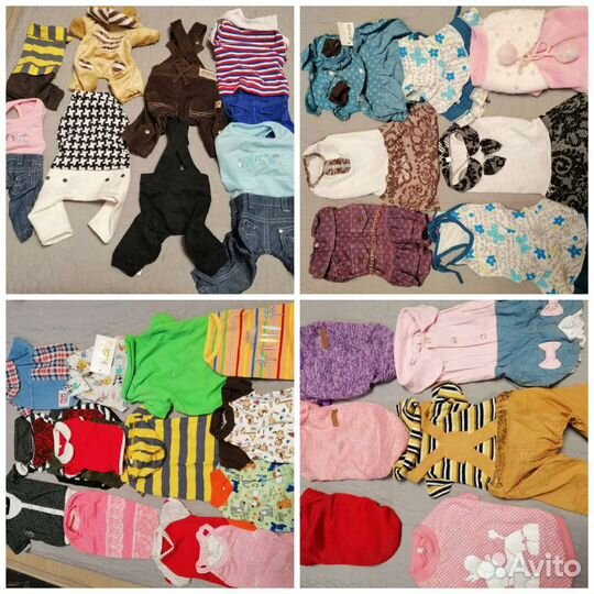 Одежда для собак