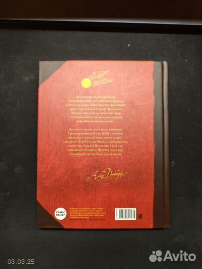 Квидич сквозь века