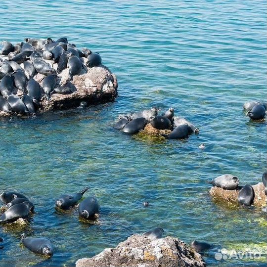 Ушкание острова экскурсия