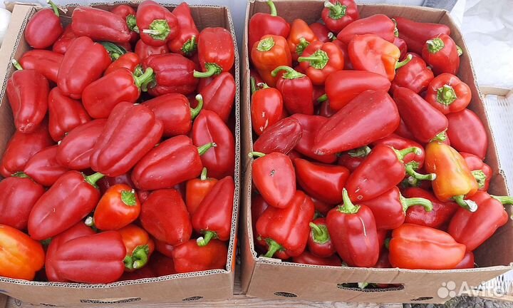 Овощи доставка до дома