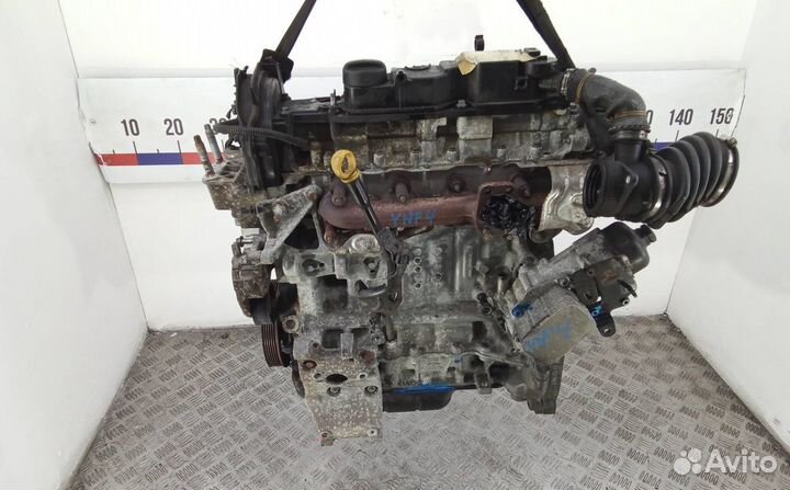 Двигатель в сборе Ford Focus 3 2012 T1DAT1DB