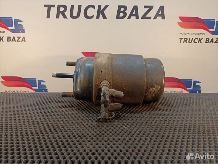 Энергоаккумулятор тормозной Iveco Stralis