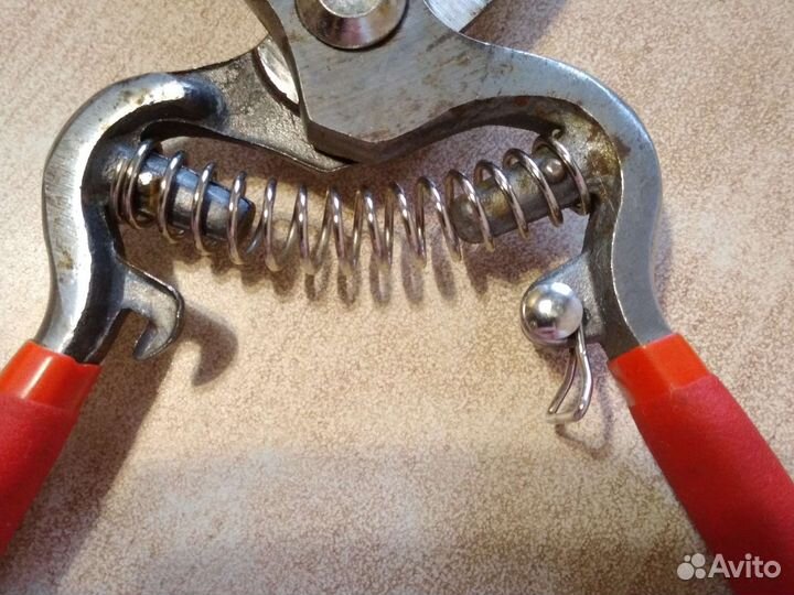 Сектор садовый СССР