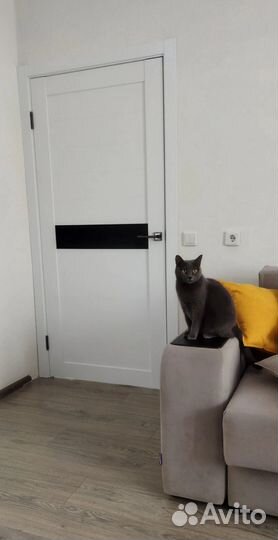 Двери межкомнатные