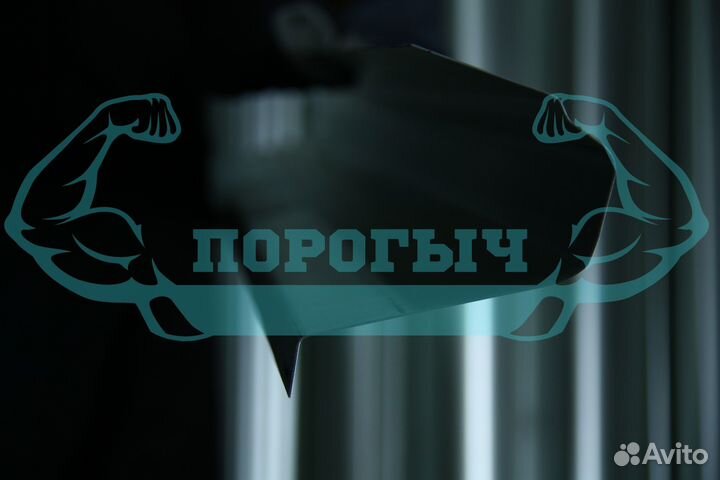 Ремотный порог Renault Sandero левый